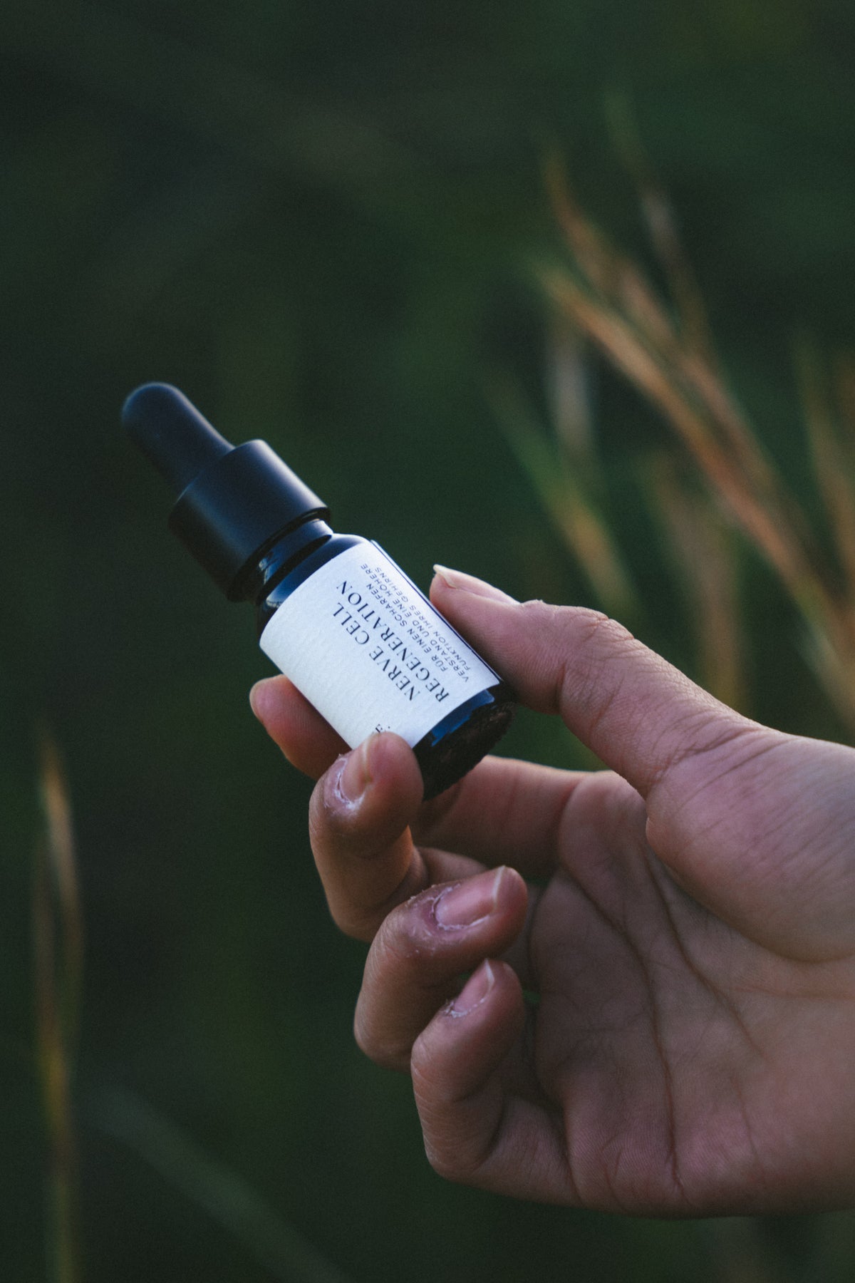 Synaptic Optimizer – Cellular Support for Nervous System Vitality